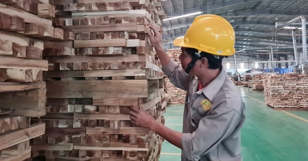 Wood exports to the US skyrocketed by more than 120%, is it surprising?