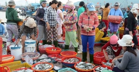 Abundante oferta, la gente no se preocupa por la escasez de mariscos durante el Tet