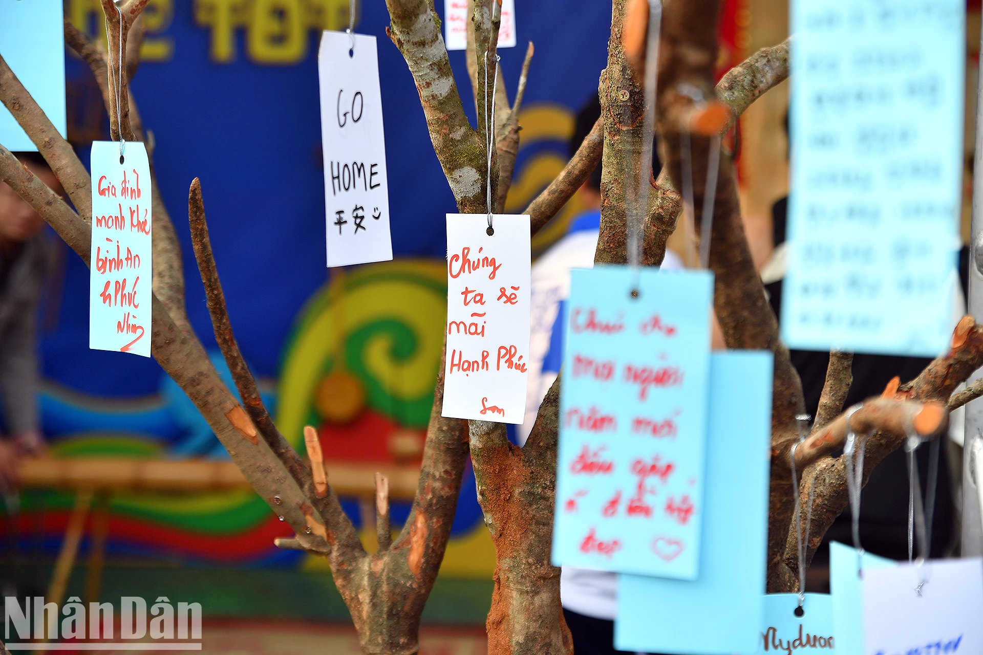 [Photo] Des milliers de jeunes participent au Festival national des étudiants « Connect Fest » 2025 photo 13