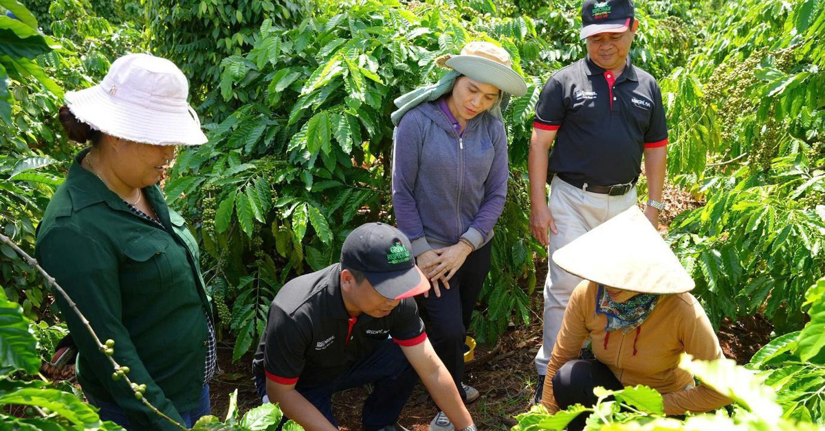 En el jardín con agricultores que practican el cultivo regenerativo del café