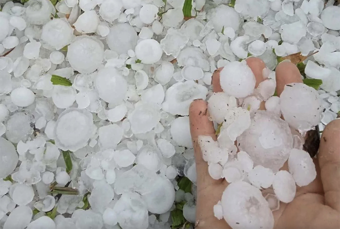 La gente recogió piedras de la lluvia. Foto: Hung Le