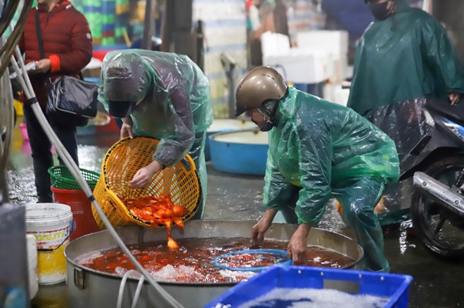 オンコンオンタオ祭が近づくにつれ、20トンの魚を供給するイエンソー市場は買い手と売り手で賑わっている。