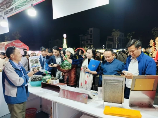 Shopping Festival in Soc Son: Regional specialties and green products 'reign'