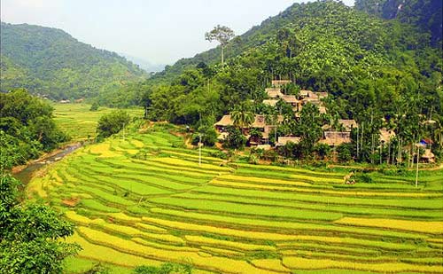 Thanh Hoa accueille près de 34 000 visiteurs internationaux au cours des premiers mois de 2024