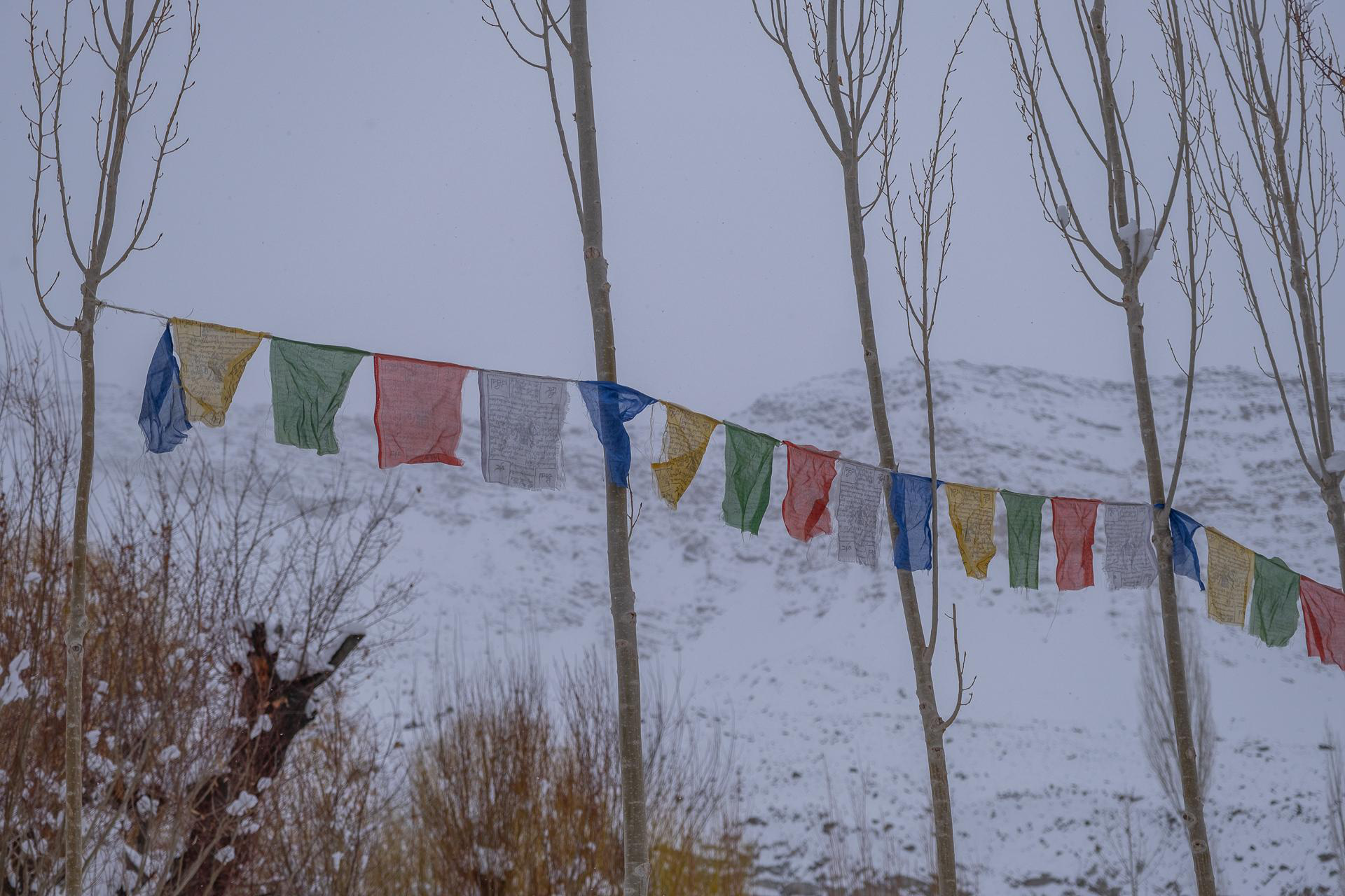 Vội đến Ladakh khi còn được dạo bước trên những dòng sông băng- Ảnh 4.