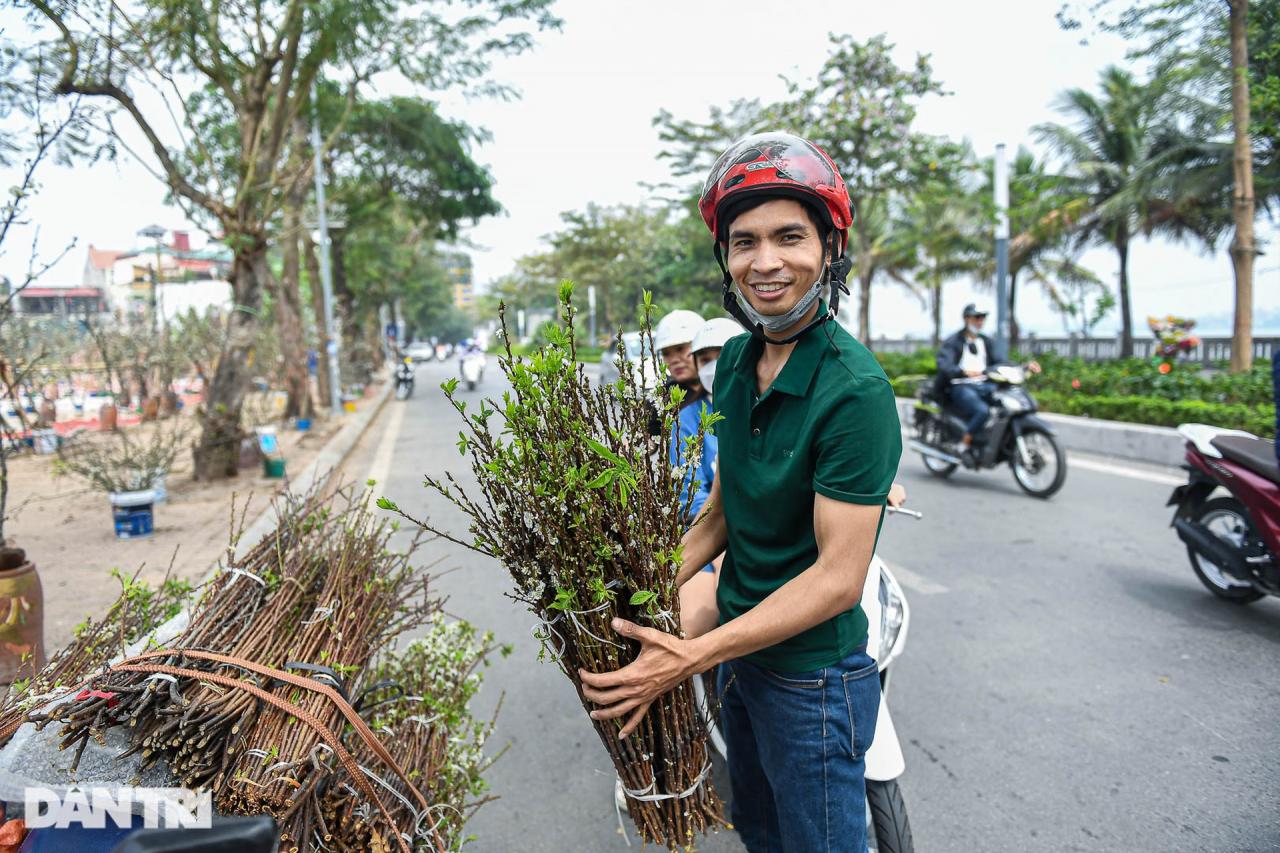 Đào phai, mai tàn, người Hà Nội chi tiền triệu mua lê rừng sau Tết - 14