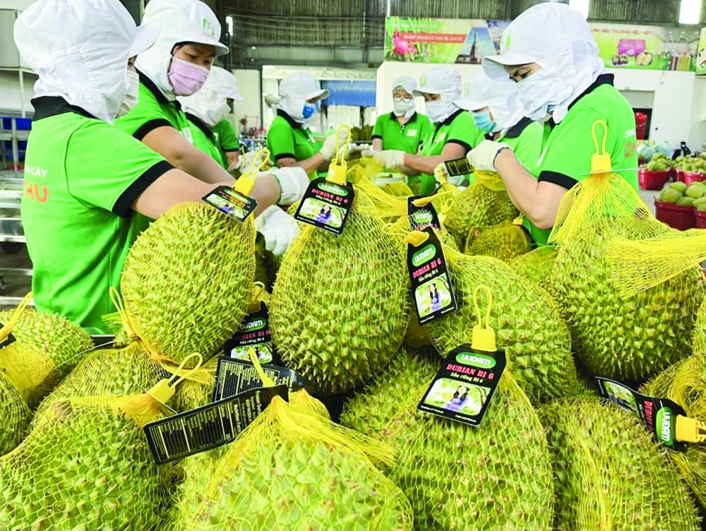 ベトナムの果物や野菜を世界中に届けるには、品質が決め手となる