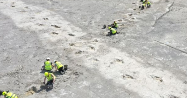 "The Lost World" Appears in the Quarry, Including a 9m Long Monster