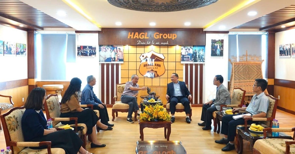 Le président du Comité populaire provincial de Gia Lai a visité et travaillé avec le groupe Hoang Anh Gia Lai