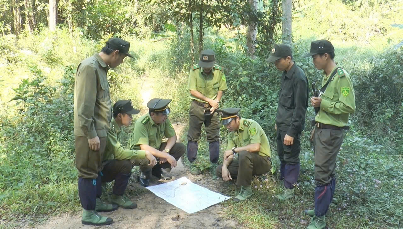 Công tác chỉ đạo tuần tra, kiểm tra bảo vệ rừng và động vật hoang dã, phòng cháy chữa cháy luôn được lãnh đạo VQG Cát Tiên quan tâm và đặt lên hàng đầu,