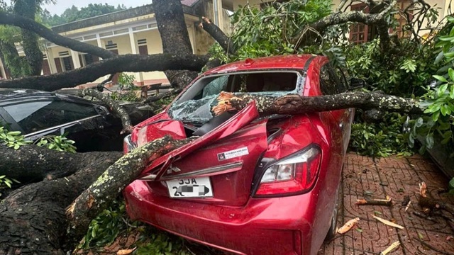 A broken tree branch fell on a female teacher walking in the school yard.