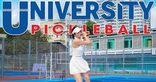 Ba Ria-Vung Tau speaks out about pickleball trend; Japanese CEO harassed