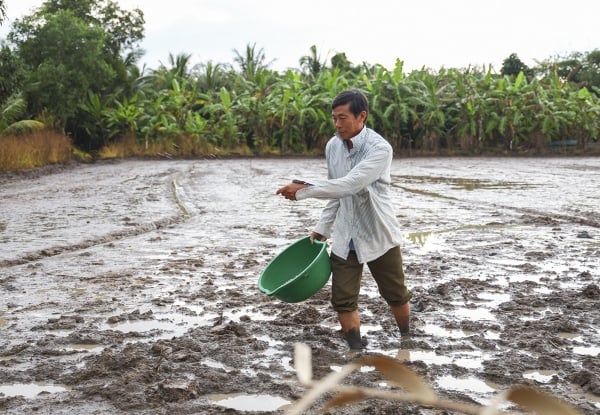 Những trăn trở từ đồng ruộng