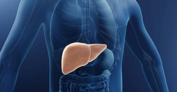 Discovery of vaccine that can 'treat' liver cancer