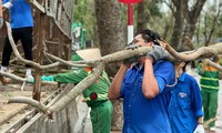 Los jóvenes de Hai Phong y Hai Duong superan las consecuencias de la tormenta número 3