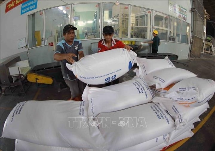 Produits de riz exportés à l'usine de Thoai Son Food Company Limited (groupe Loc Troi). (Photo : Vu Sinh/VNA)