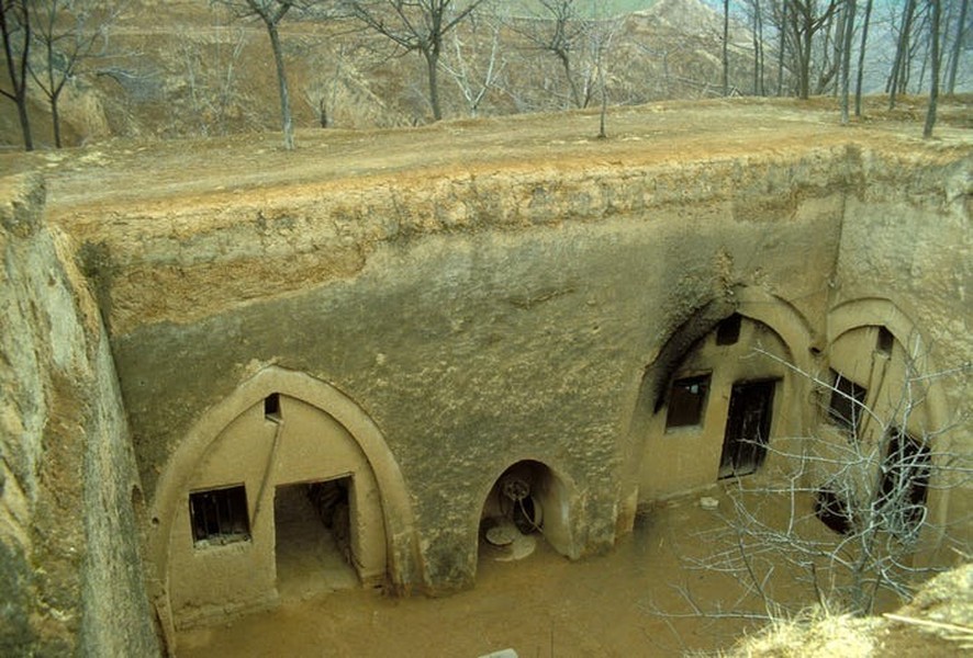 Cận cảnh 