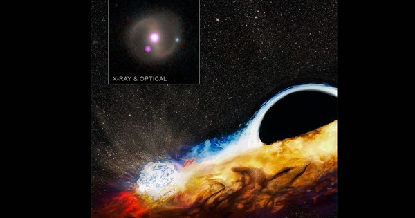 Black holes "transform" other objects into killers