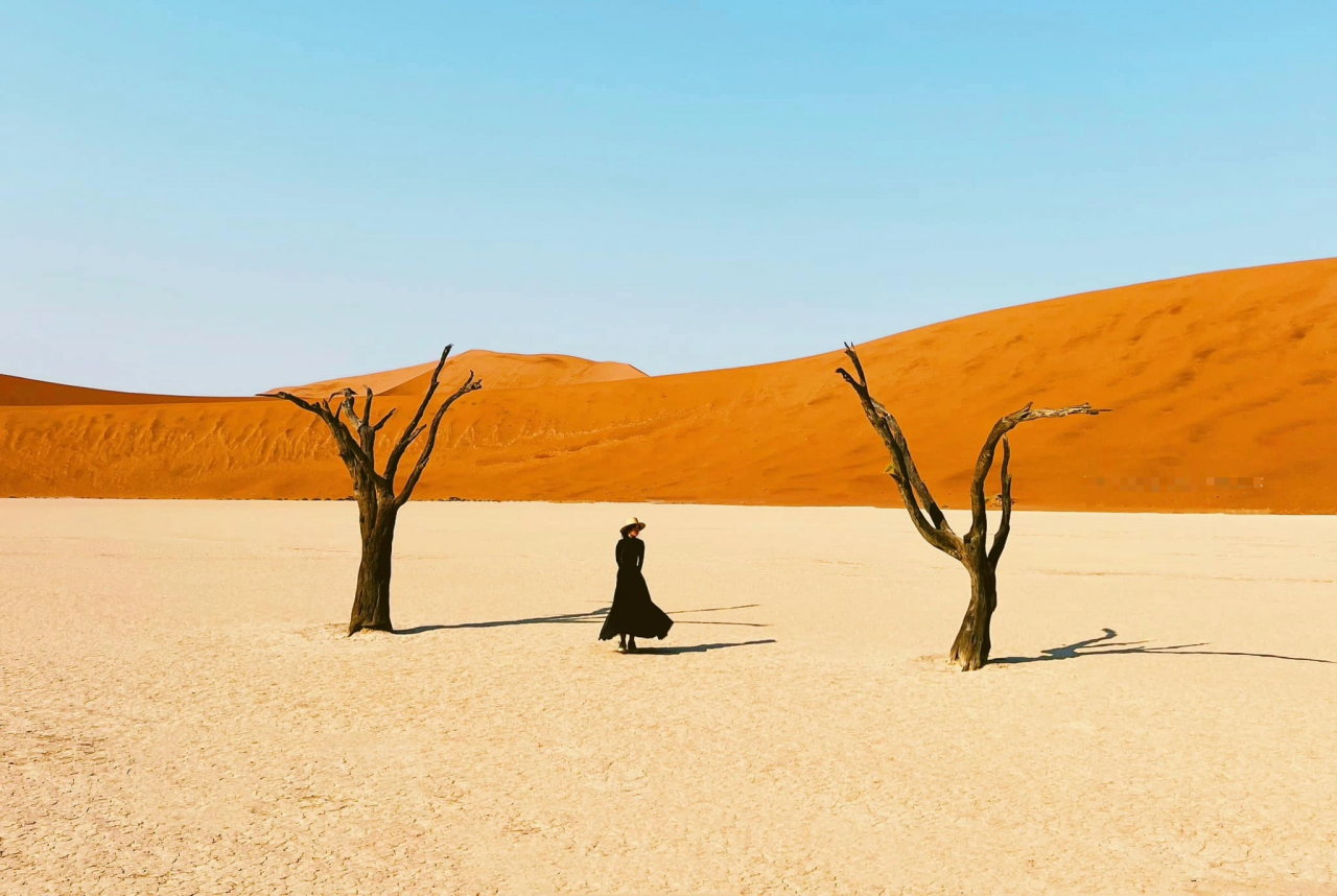 9X Vietnamese spends nearly 200 million VND to see dry trees in unique 