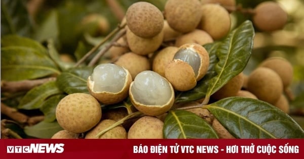 Einige Heilmittel aus Longan