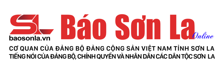 baosonla-org-vn