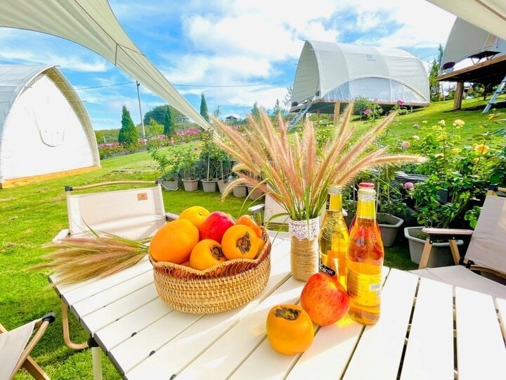 يعتبر La Fleur Glamping مثل أرض خيالية مخفية بين الزهور والعشب.