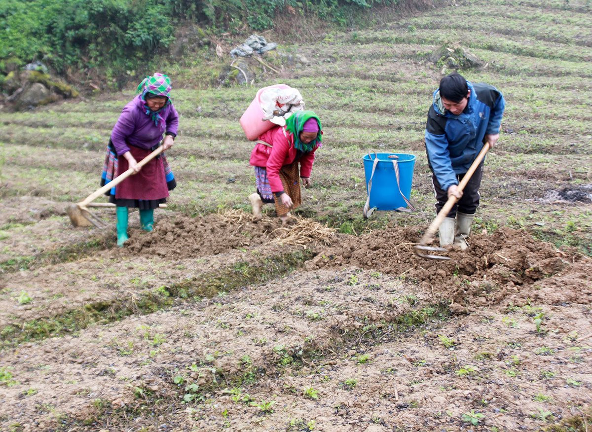 Promoting the value of land in poverty reduction