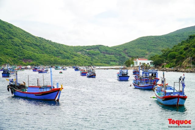 Phát triển mô hình du lịch cộng đồng tại làng đảo xa nhất Nha Trang - Ảnh 2.