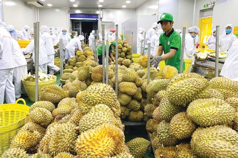 Sebutkan 3 pasar yang paling banyak membeli produk pertanian, kehutanan, dan perikanan dari Vietnam