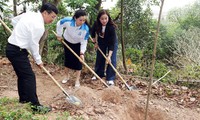 Hai Phong launched the planting of more than 5,000 trees in response to the Tree Planting Festival