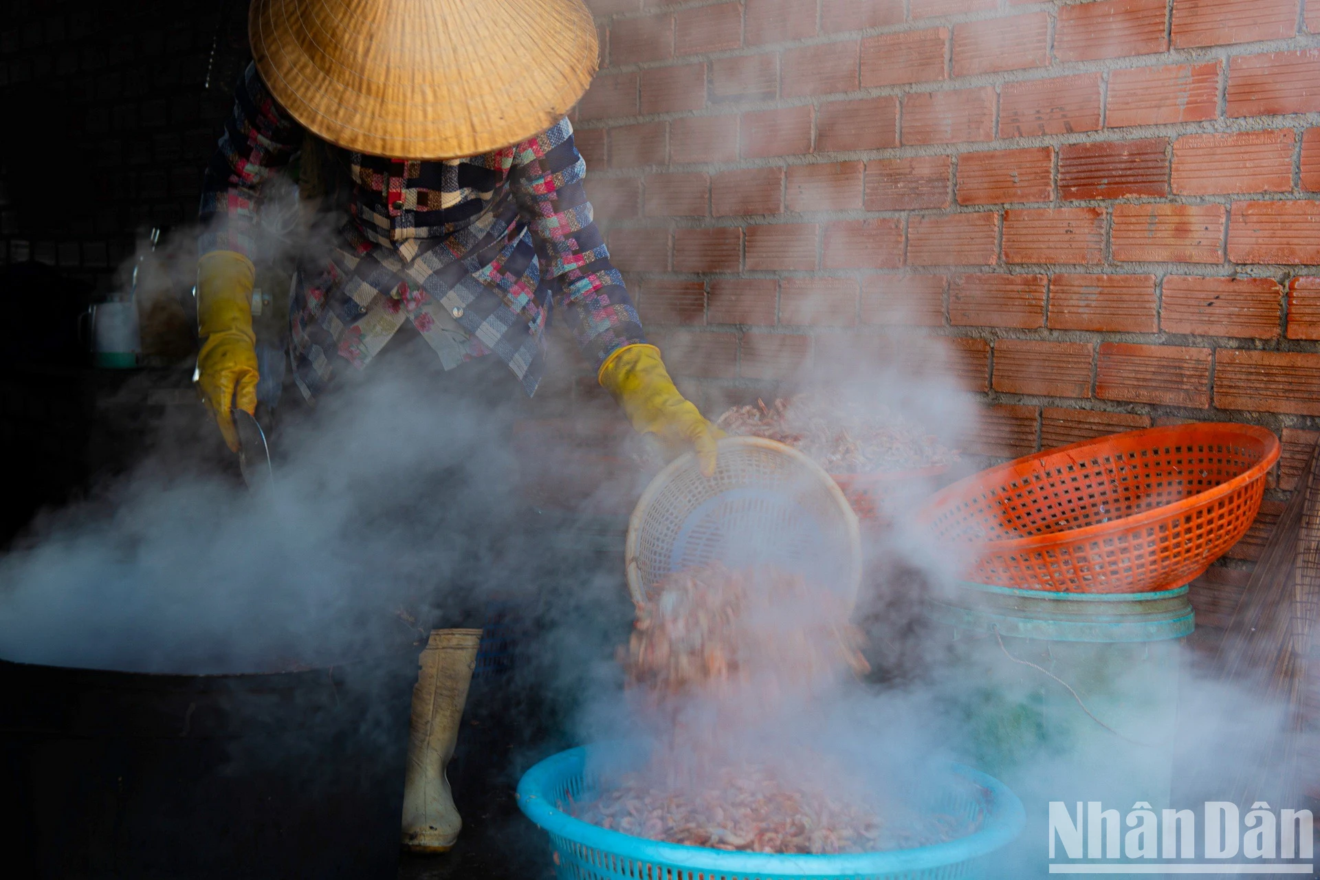 [Ảnh] Những giá trị tiềm năng của vùng bờ biển Việt Nam ảnh 10