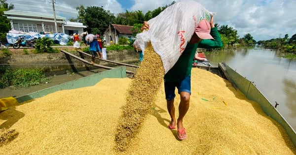 India sends new signal, will rice prices increase again?