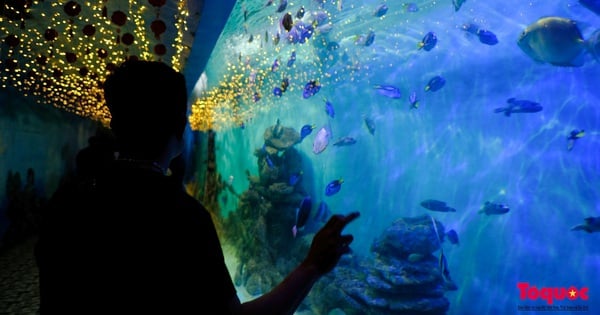 Explore the ocean world at the Institute of Oceanography