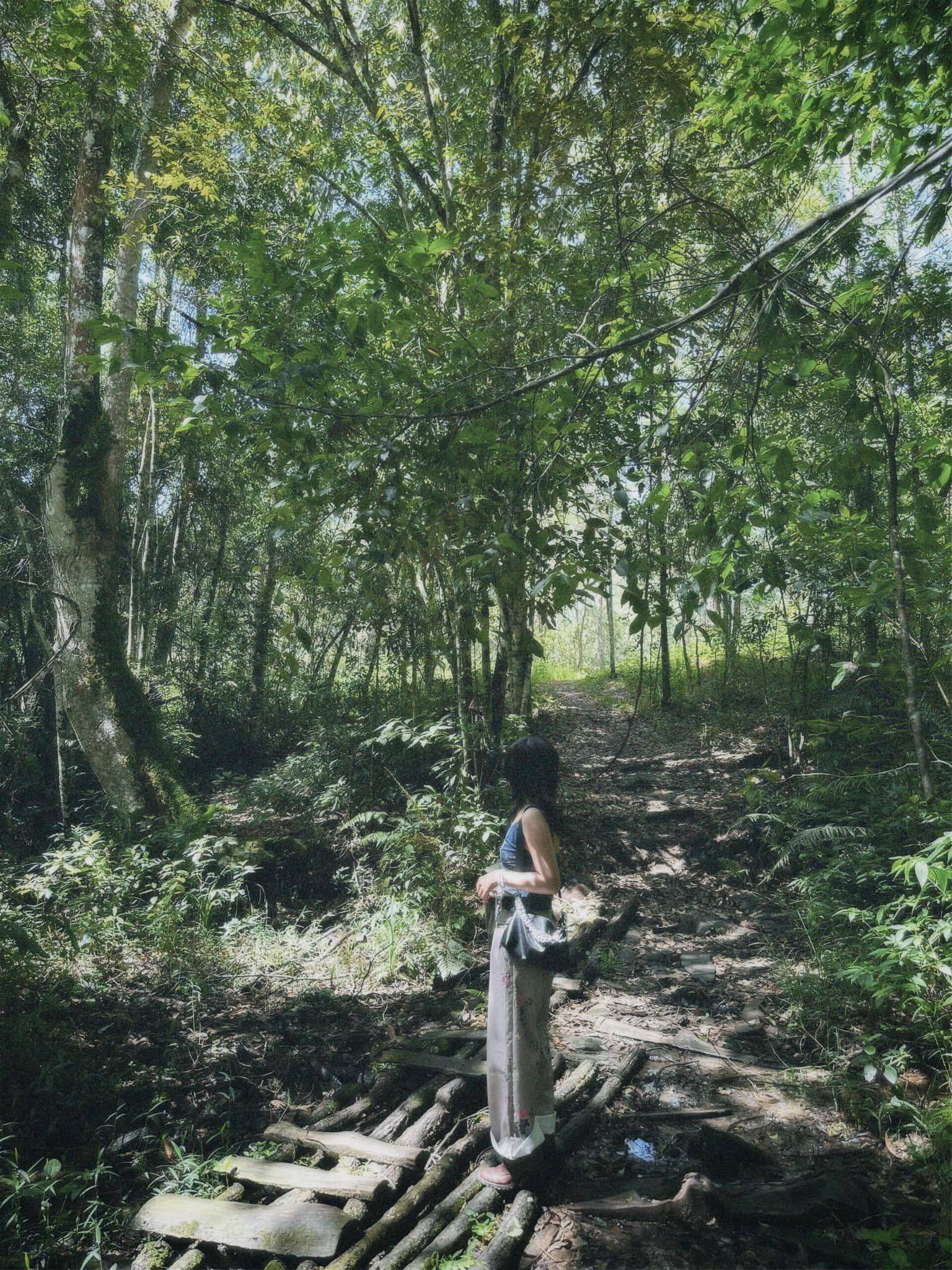 El sendero sigue un pequeño arroyo en el pinar que conduce a un arroyo morado. Sin un guía local, es fácil perderse. El camino al arroyo Tia no es muy difícil; solo hay algunos tramos rocosos; hay que llevar mucho peso y caminar una corta distancia. Esta zona de bosque inundado está en construcción para un proyecto turístico; si se completa, será difícil acceder. Todos deberían darse el tiempo de venir pronto, dijo Bich Ngoc.