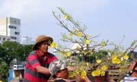 ビンドン花市場の「埠頭、船の下」の賑やかな光景