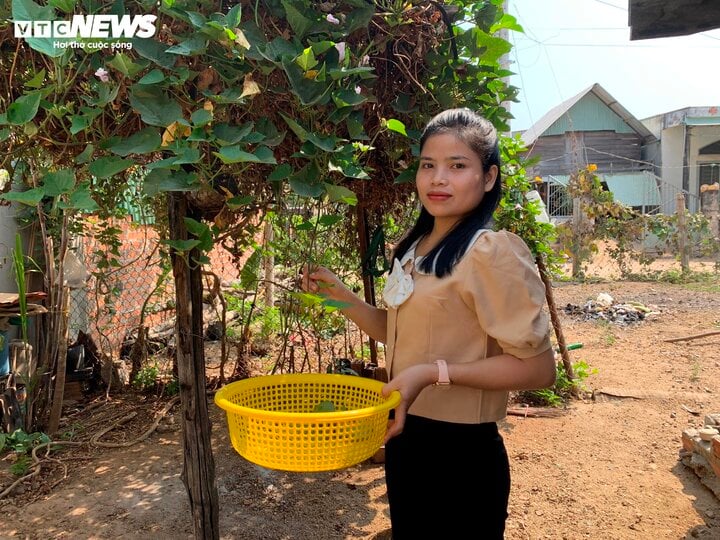 ฮหว่าละทิ้งงานพยาบาลชั่วคราวเพื่ออาสาเข้าร่วมกองทัพ