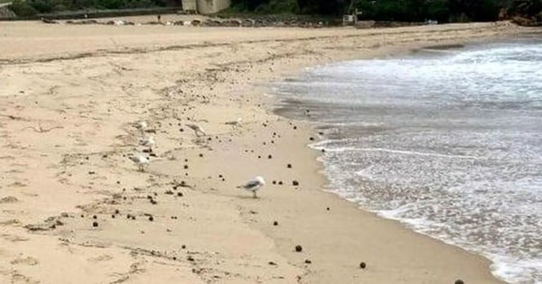 Une célèbre plage fermée après la découverte d'un « objet étrange »