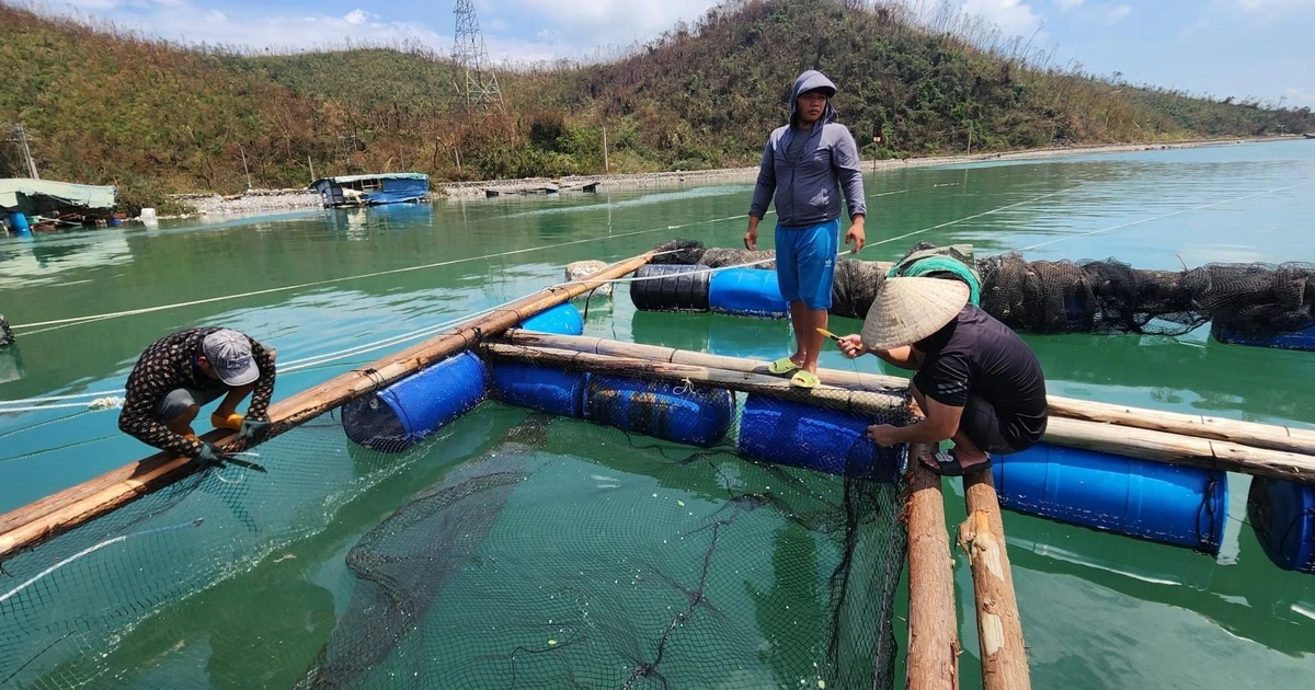 Cần kịch bản dài hạn để ứng phó thiên tai