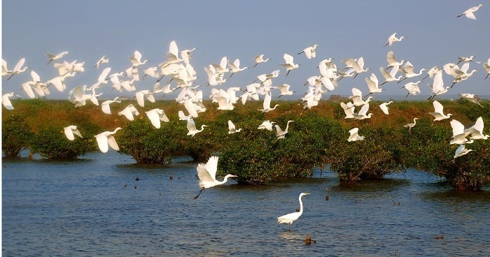 ¿Qué parque nacional ha sido reconocido dos veces como patrimonio natural mundial? - 7