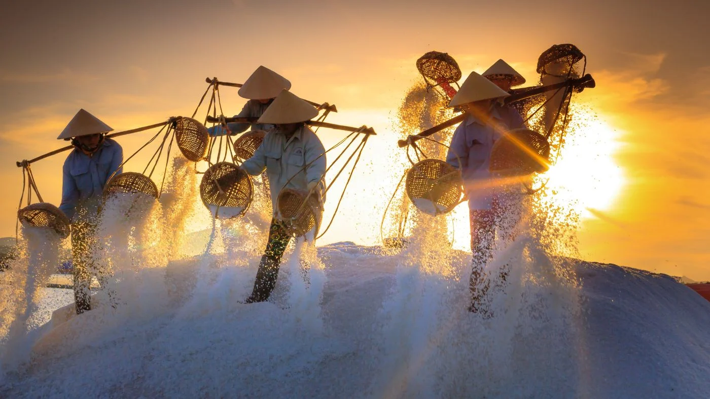 Host the Vietnam Salt Festival - Bac Lieu in 2024