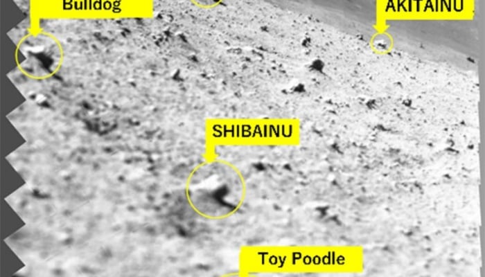 La sonda espacial japonesa se despierta y comparte nuevas imágenes de la Luna