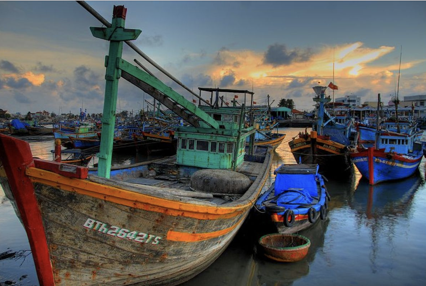 Les touristes se réveillent à 4 heures du matin pour découvrir l'atmosphère du port de pêche d'An Luong