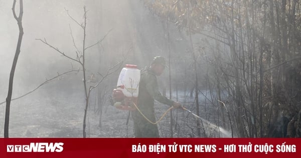 Maîtrise de l'incendie de forêt de Melaleuca en bordure du parc national de Phu Quoc