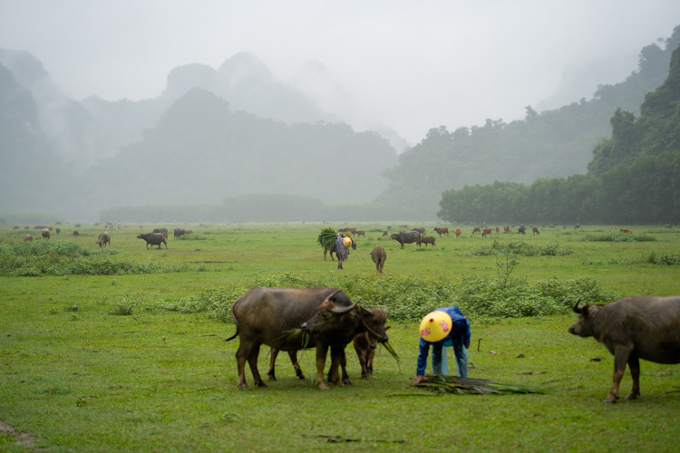 Le village de Tan Hoa avec sa beauté sauvage. Photo : fournie par le département du tourisme de Quang Binh