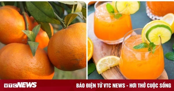 Quels sont les bienfaits de boire du jus d’orange tous les jours ?