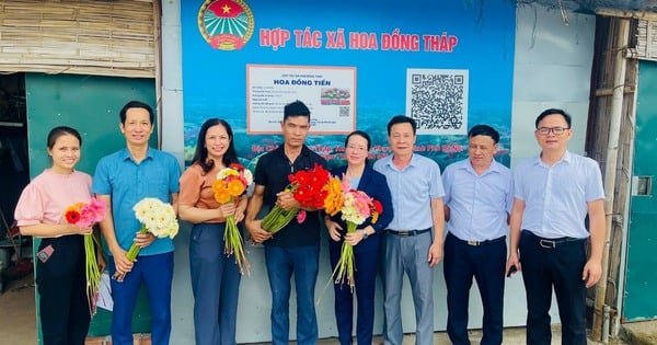 Hanoi farmers start creative businesses, apply digital transformation, and develop effective OCOP products