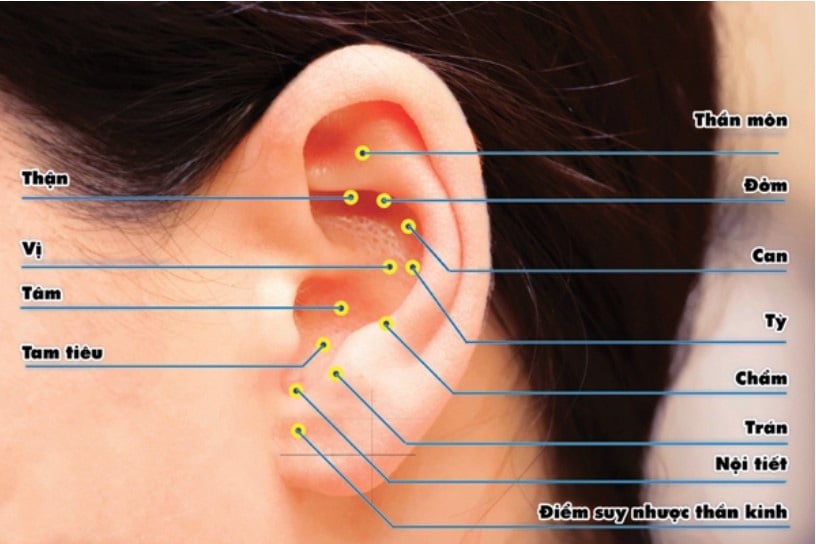 Kỳ thú xem bệnh và chữa bệnh qua lỗ tai - Ảnh 1.