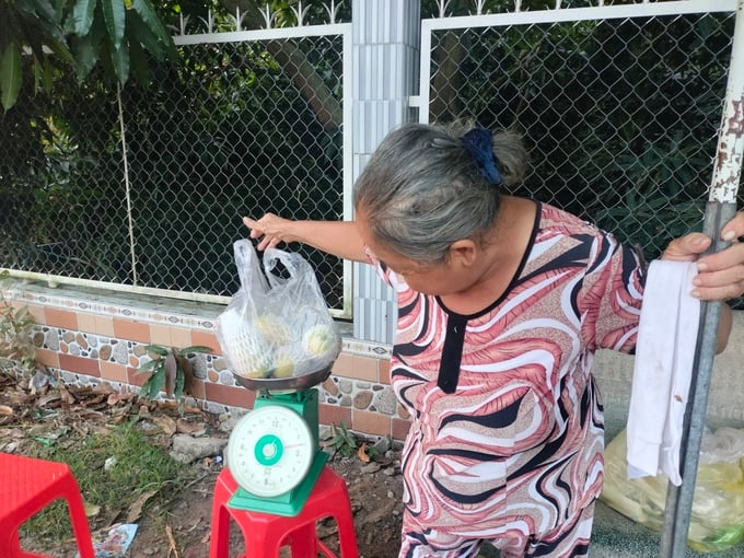 Locals sell Hoa Loc mangoes to tourists. Photo: Minh Dam.