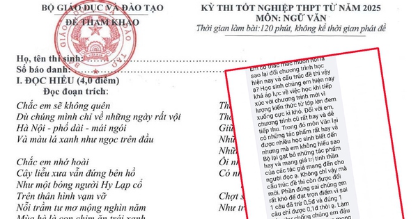 Thực hư đề thi môn Văn tốt nghiệp THPT chương trình mới sẽ "gây áp lực và thiệt thòi cho học sinh"