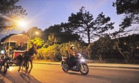 ダラットの春の夜に馬車に乗った感想